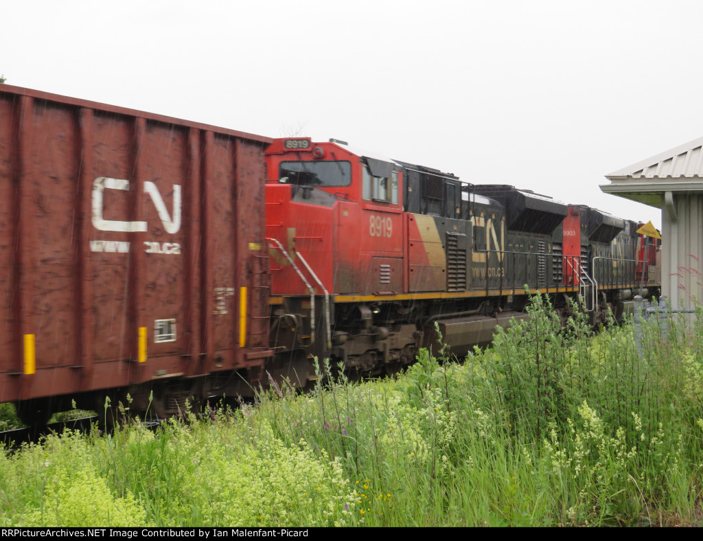 CN 8919